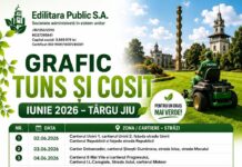 Noi intervenții de întreținere a spațiilor verzi în Târgu Jiu