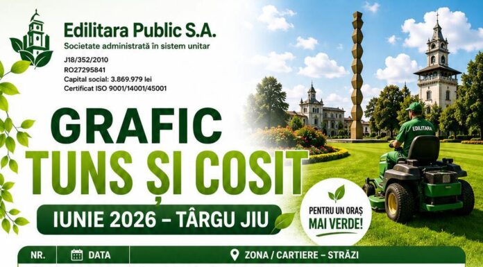 Noi intervenții de întreținere a spațiilor verzi în Târgu Jiu