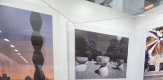 „Certificatul de naștere” al Coloanei fără Sfârșit, expus la Parlamentul European