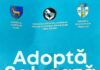 Padocul din Târgu Jiu este plin. Apel pentru adopția câinilor fără stăpân