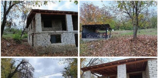 ANAF vinde la licitație un spațiu comercial în paragină și aproape 6.000 mp de teren într-un sat din Gorj