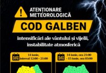 Gorjul, sub dublă avertizare Cod Galben! Se anunță vijelii, furtuni și intensificări ale vântului