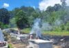 FOTO: Incendiu în cimitirul din Licurici