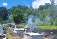 FOTO: Incendiu în cimitirul din Licurici