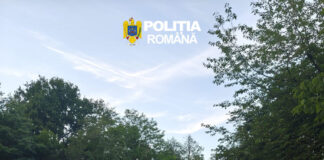 Șofer lăsat fără lemne și cercetat de polițiști după un control în trafic
