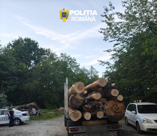 Șofer lăsat fără lemne și cercetat de polițiști după un control în trafic