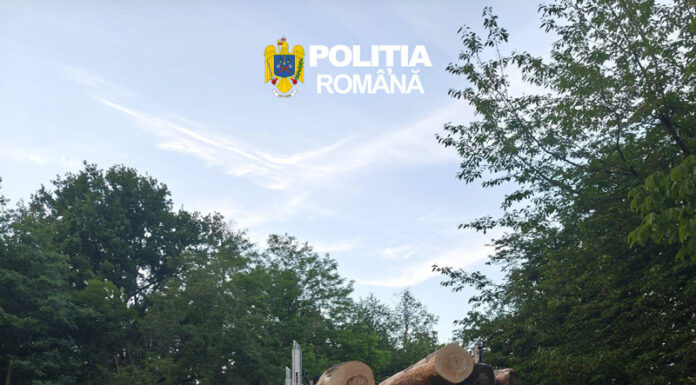 Șofer lăsat fără lemne și cercetat de polițiști după un control în trafic
