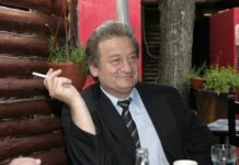 Exegeze frontale – Strigătul din oglindă al lui Mircea Bârsilă (I)
