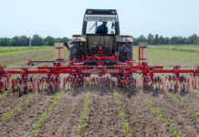 Agricultura pe înțelesul tuturor – Calendarul lucrărilor agricole în luna iunie