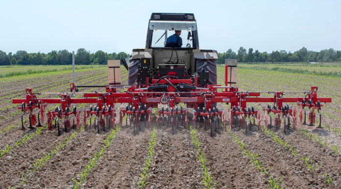 Agricultura pe înțelesul tuturor – Calendarul lucrărilor agricole în luna iunie