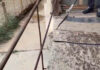 VIDEO: Șarpe de aproape doi metri, scos de jandarmi dintr-o locuință din Peștișani
