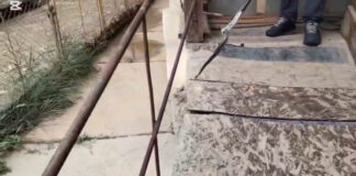 VIDEO: Șarpe de aproape doi metri, scos de jandarmi dintr-o locuință din Peștișani