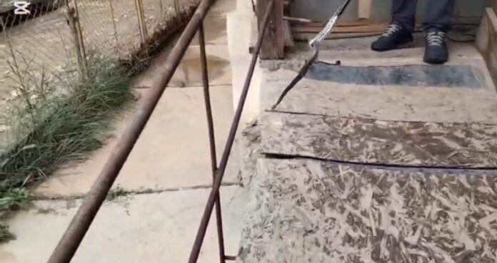 VIDEO: Șarpe de aproape doi metri, scos de jandarmi dintr-o locuință din Peștișani