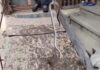 VIDEO: Șarpe scos de jandarmi din zidul unei case din Peștișani