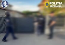 VIDEO: Percheziții în două județe, făcute de polițiștii și procurorii DIICOT din Gorj