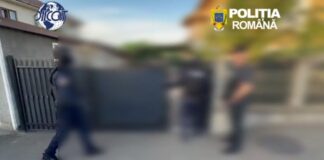 VIDEO: Percheziții în două județe, făcute de polițiștii și procurorii DIICOT din Gorj