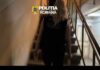 VIDEO: Percheziții la Primăria Dănești
