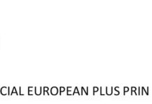 E-Skill – Abilități digitale pentru piața muncii – COD SMIS 334321