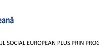 E-Skill – Abilități digitale pentru piața muncii – COD SMIS 334321