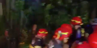 Șofer începător, rănit grav în accident la Câmpu Mare