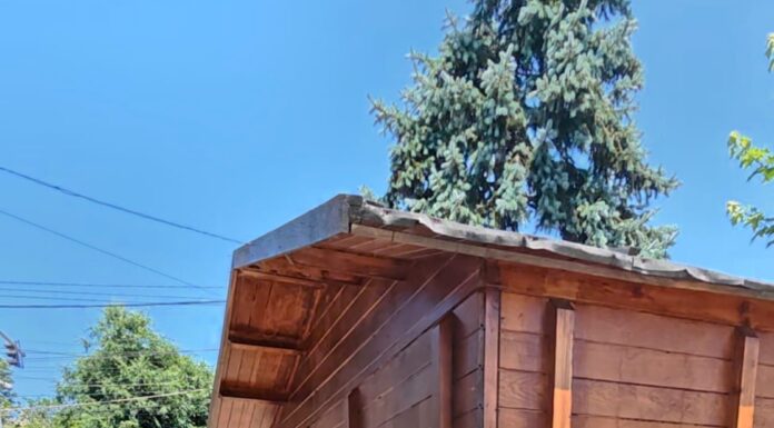Puncte de prim ajutor în Târgu Jiu, pe timp de caniculă