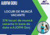 Oportunitate pentru șomerii din Gorj: 374 de joburi disponibile prin AJOFM