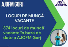 Oportunitate pentru șomerii din Gorj: 374 de joburi disponibile prin AJOFM