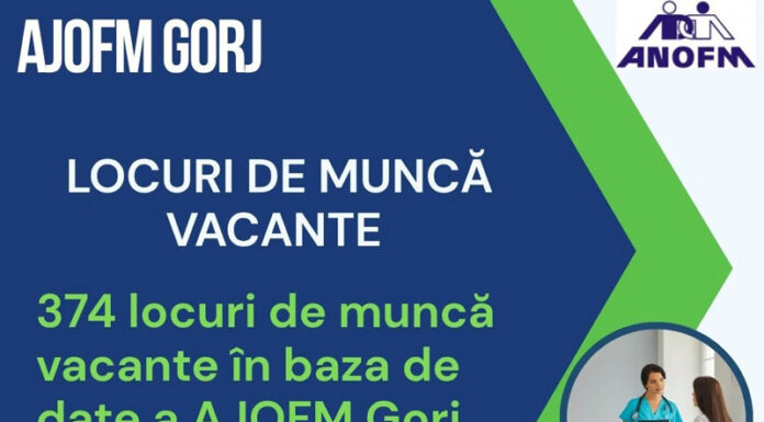 Oportunitate pentru șomerii din Gorj: 374 de joburi disponibile prin AJOFM