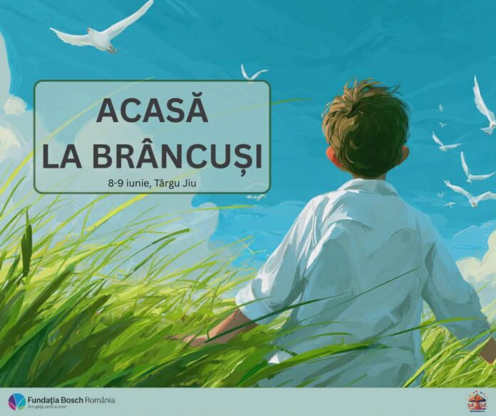 afis brancusi