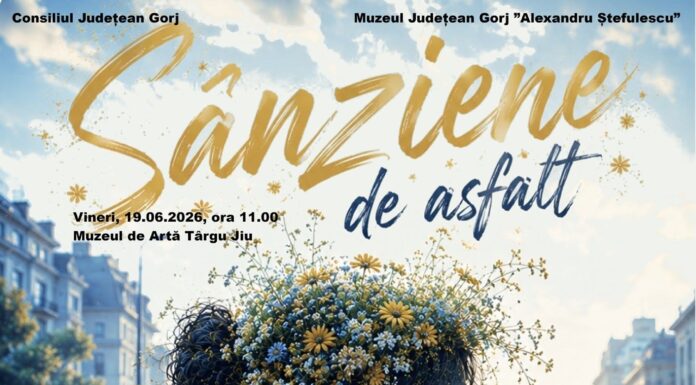 „Sânziene de asfalt”, la Muzeul de Artă din Târgu Jiu