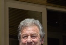 Exegeze frontale – Strigătul din oglindă al lui Mircea Bârsilă (II)