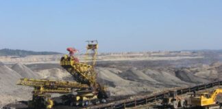Trufelea, ”piază rea” la CEO. Cum a murit angajatul de la Jilț Nord