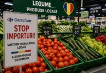 Carrefour a făcut primul pas. Cine îl urmează?