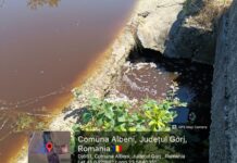 Albeni: Dosar penal pentru dejecțiile ajunse în lac
