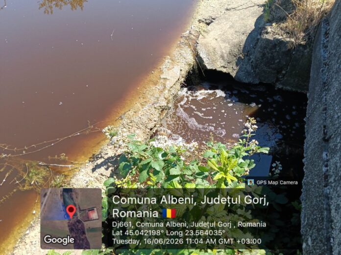 dejectii albeni