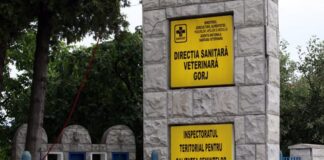 Val de sancțiuni în Gorj. Nereguli grave la controalele DSVSA