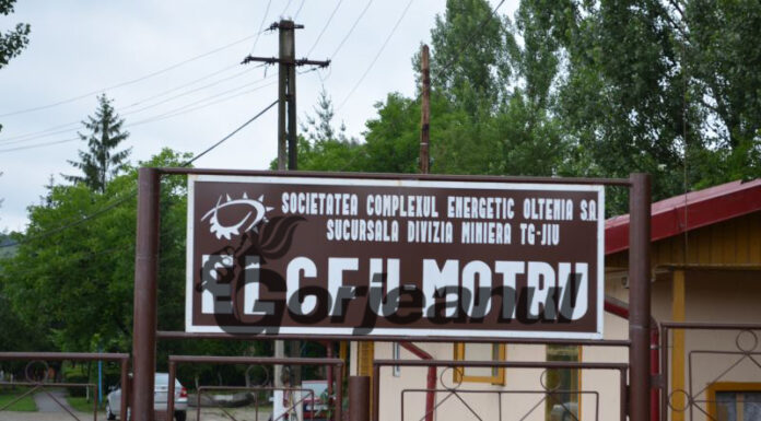 CE Oltenia închiriază noi autovehicule de transport mixt