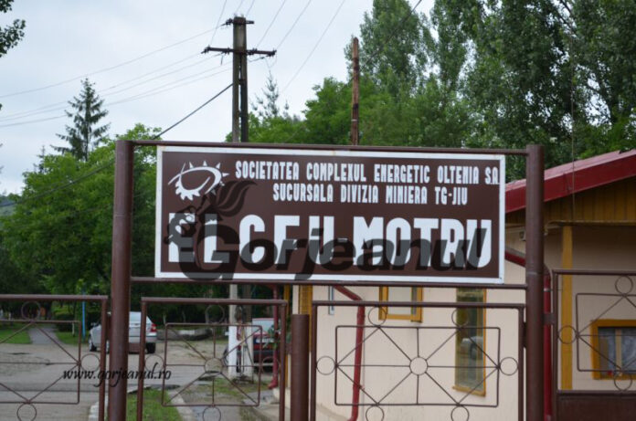 CE Oltenia închiriază noi autovehicule de transport mixt