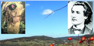 Eminescu şi prezenţa lui meteorică în satul Floreşti, Gorj – „Locul în care sunt e cât se poate de frumos. Râuri, codru, şes, dealuri, munţi în depărtare”!