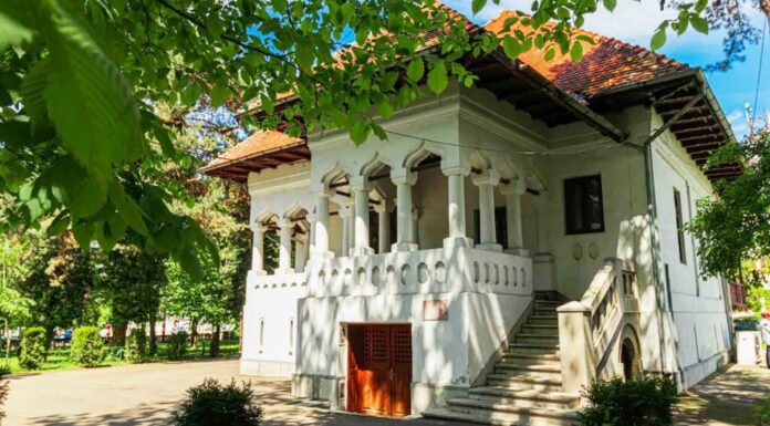 Expoziția ,,Hercule is Cyborg”, deschisă la Muzeul Național ,,Constantin Brâncuși”, din municipiul Târgu-Jiu, a avut vizitatorul nr.1 pe ministrul Culturii, Andras Istvan DEMETER