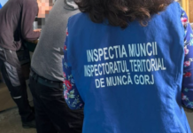 Peste 200 de controale la angajatorii din județ
