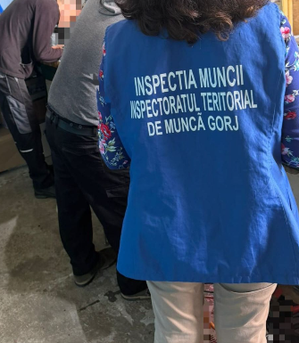 Peste 200 de controale la angajatorii din județ