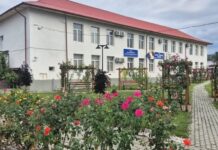 Liceenii din Novaci vor participa la noi mobilități Erasmus+