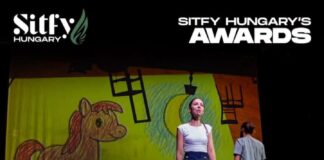 Producție a Teatrului „Elvira Godeanu”, premiată în Ungaria