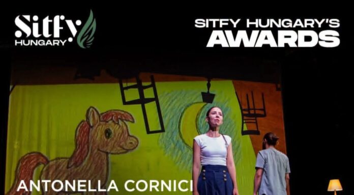 Producție a Teatrului „Elvira Godeanu”, premiată în Ungaria