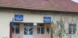 Angajat al Primăriei Godinești, ridicat de polițiști și internat la Psihiatrie