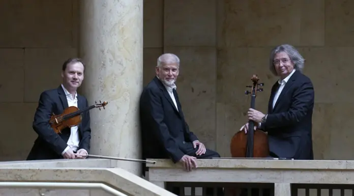 „Muzică de la Viena la Buenos Aires”, concert extraordinar în Parcul Coloanei fără Sfârșit