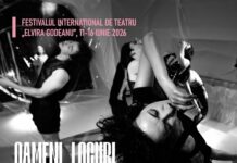 Astăzi începe Festivalul Internațional de Teatru „Elvira Godeanu”