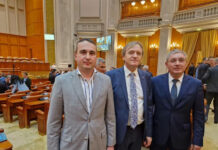 Liderii PSD anunță că nu se vor mai închide grupurile energetice ale CEO. E lege. Andrei Maioreanu: Ipocrizia îngroapă România