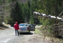 Repere estivale – Revenire în lumea Borzilor de pe Șușița Verde